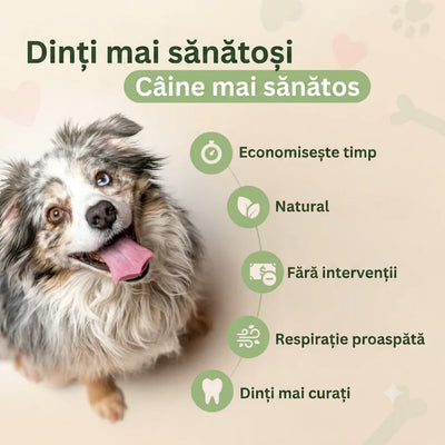 DentaGuard™ Aditiv pentru apă
