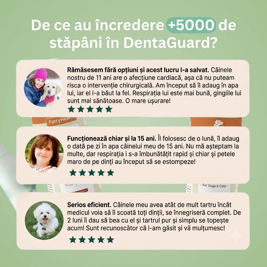 DentaGuard™ Aditiv pentru apă