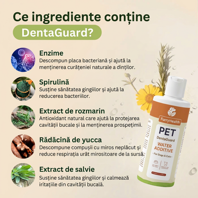 DentaGuard™ Aditiv pentru apă