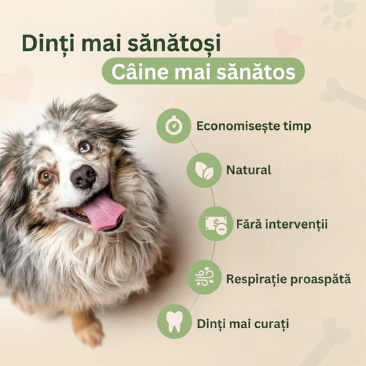 DentaGuard™ Aditiv pentru apă