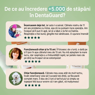 DentaGuard™ Aditiv pentru apă