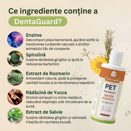 DentaGuard™ Aditiv pentru apă